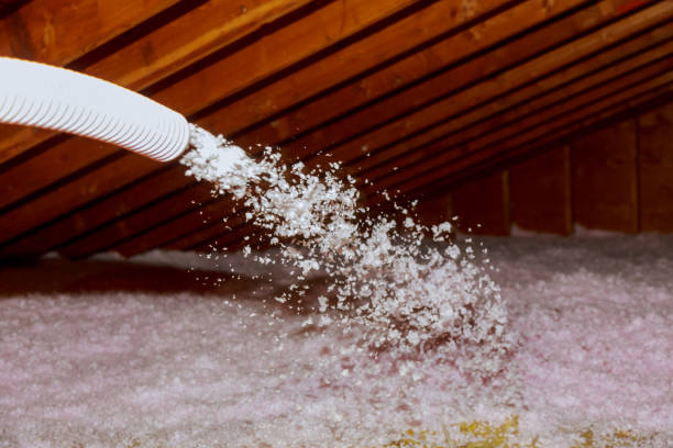 Best Types of Insulation in Lac Du Flambeau, WI