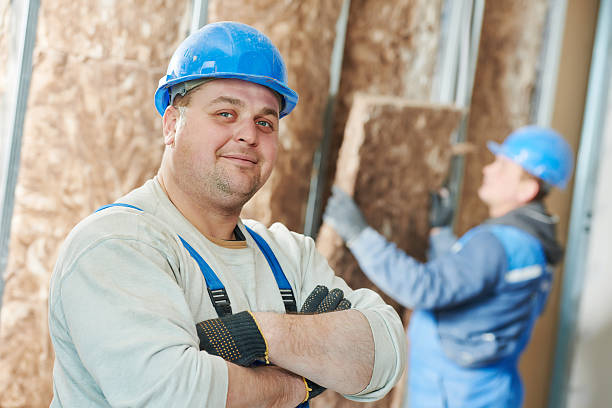 Best Insulation Maintenance and Repair in Lac Du Flambeau, WI