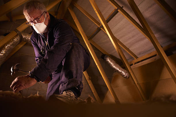 Best Insulation Installation Services in Lac Du Flambeau, WI